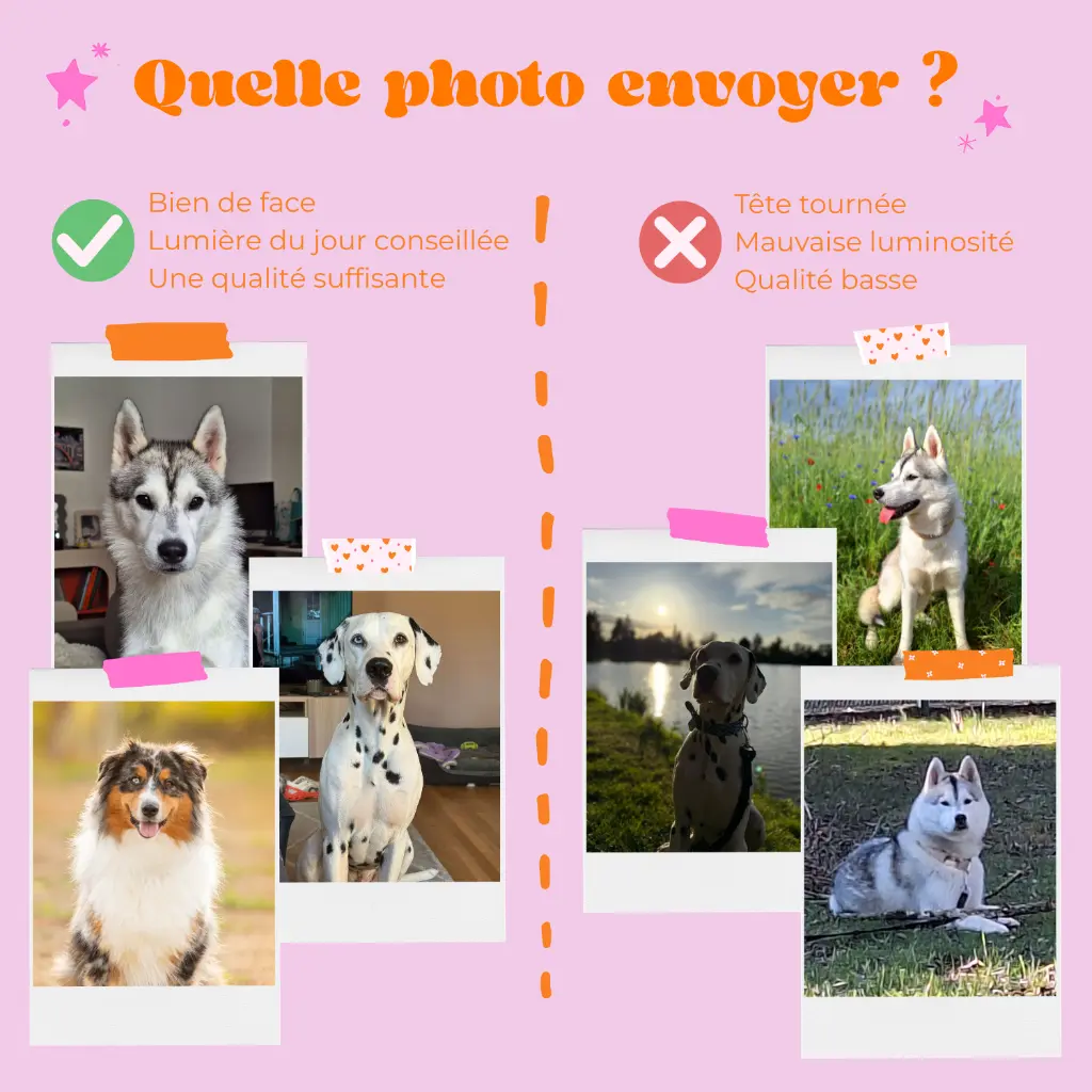 PHOTO A PRENdre beebrush beeloved.webp