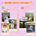 PHOTO A PRENdre beebrush beeloved.webp